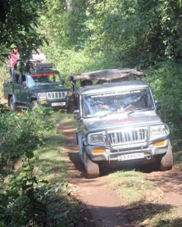 Dandeli Jeep Safari